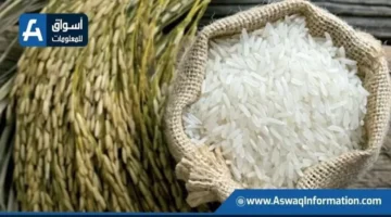 أسعار الأرز والشعير اليوم الأربعاء: كيف تؤثر التغيرات على السوق المحلي؟